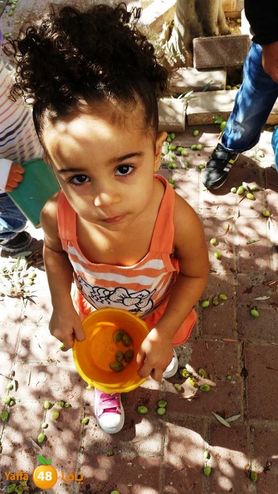 alkeram zatoon3 (7).jpg